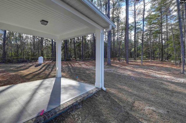 107 Greengarden Drive, Chapin, SC 29036