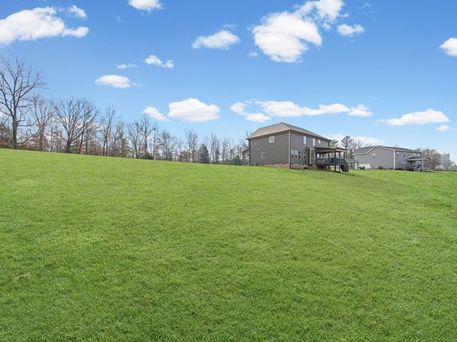 267 Alonzo Pl, Cunningham, TN 37052