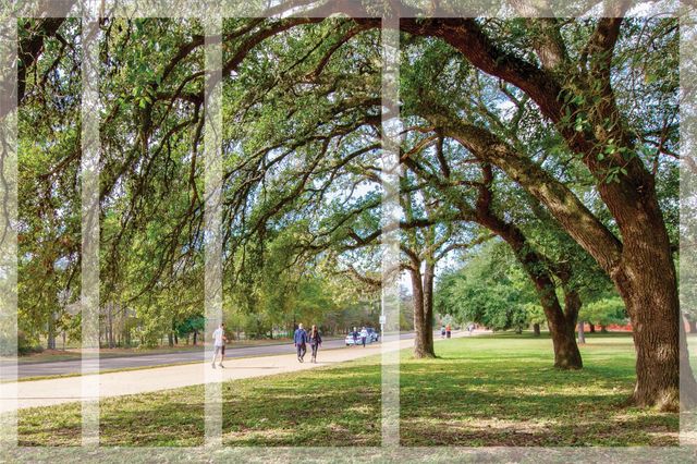 1611 Mcdonald Street, Houston, TX 77007