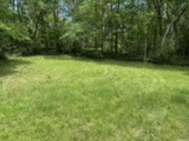 411 Palmetto Street, Hot Springs, AR 71901