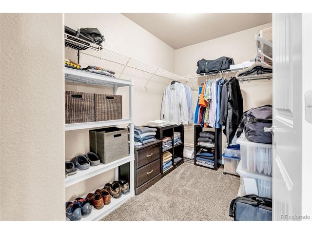 5175 Clarence Dr, Windsor, CO 80550