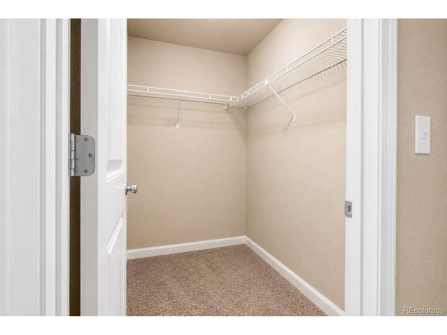 5175 Clarence Dr, Windsor, CO 80550