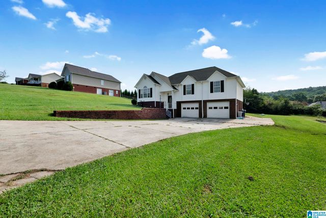 908 RANSOME DRIVE, Oneonta, AL 35121