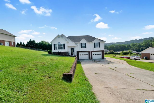 908 RANSOME DRIVE, Oneonta, AL 35121