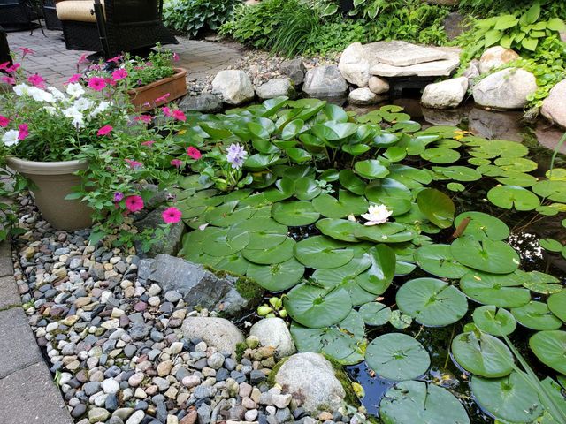 1001 Walden Court, Burnsville, MN 55337