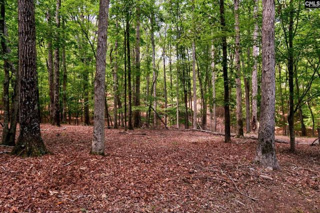 114 Garris McCabe, Blythewood, SC 29016