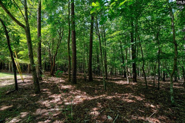 114 Garris McCabe, Blythewood, SC 29016