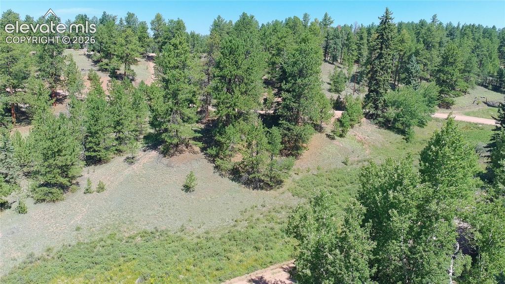 719 Spring Valley Lane, Florissant, CO 80816 — exterior