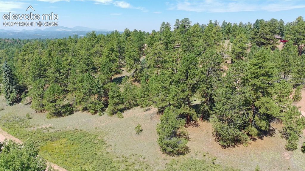 719 Spring Valley Lane, Florissant, CO 80816 — photo 2