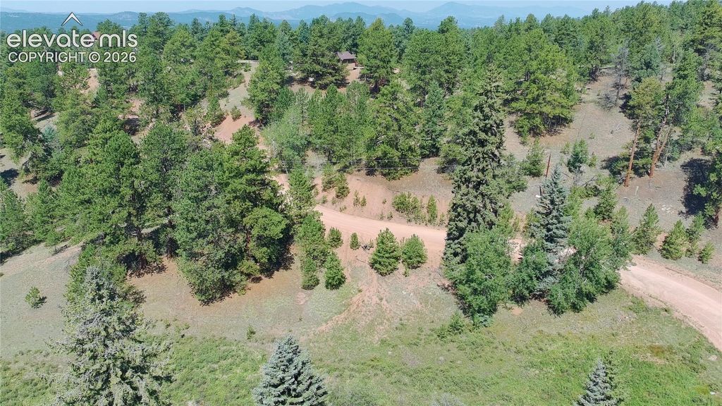 719 Spring Valley Lane, Florissant, CO 80816 — photo 3