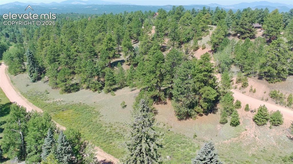 719 Spring Valley Lane, Florissant, CO 80816 — photo 4