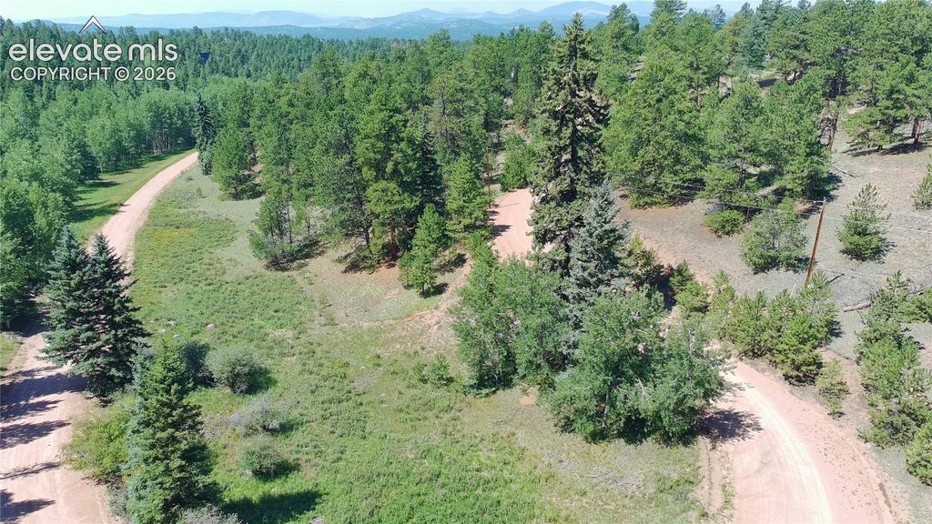 719 Spring Valley Lane, Florissant, CO 80816 — photo 5