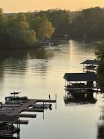 1089 Bluewater Dr Unit 512, Moneta, VA 24121