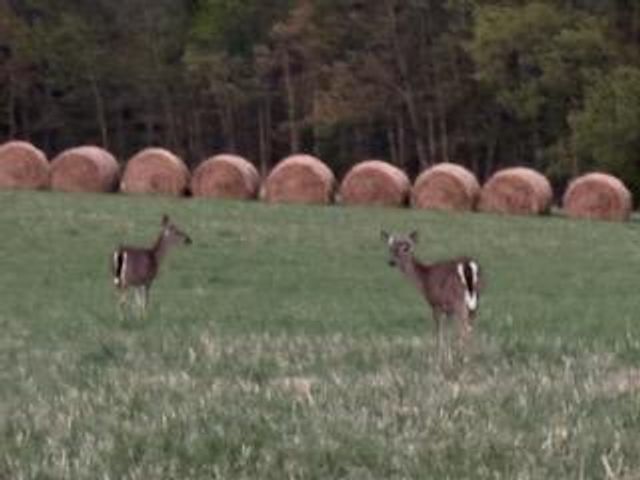 1089 Bluewater Dr Unit 512, Moneta, VA 24121