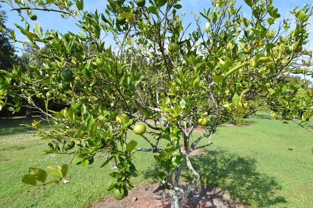 3100 SE Pruitt Rd Apt H205, Port St Lucie, FL 34952