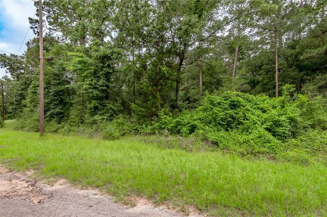 Lot 55 Post Oak Circle, Trinity, TX 75862