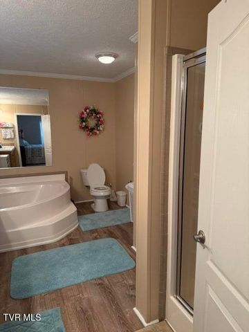 22245 Green Springs Church Road, Abingdon, VA 24211