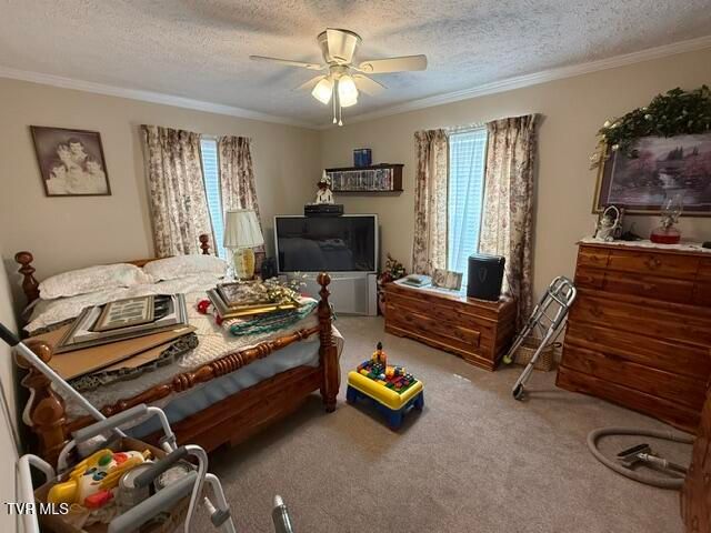22245 Green Springs Church Road, Abingdon, VA 24211
