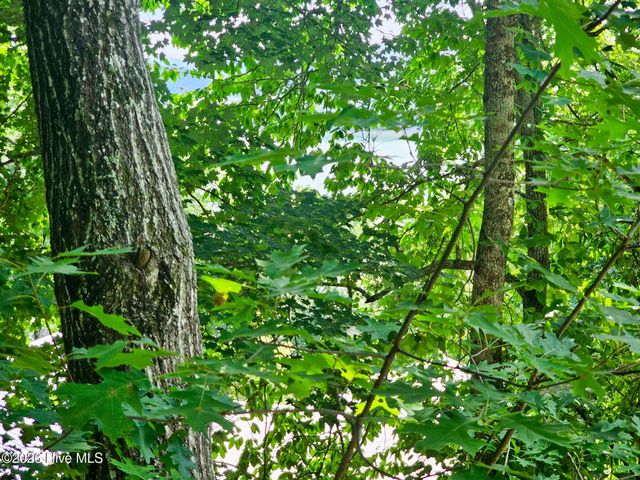 128 Manor Drive A & B, Hayesville, NC 28904