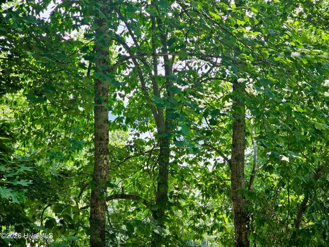 128 Manor Drive A & B, Hayesville, NC 28904