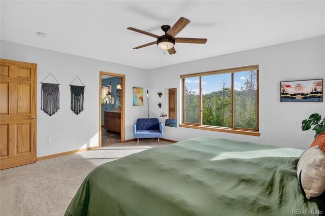 10972 Milliken Avenue, Conifer, CO 80433