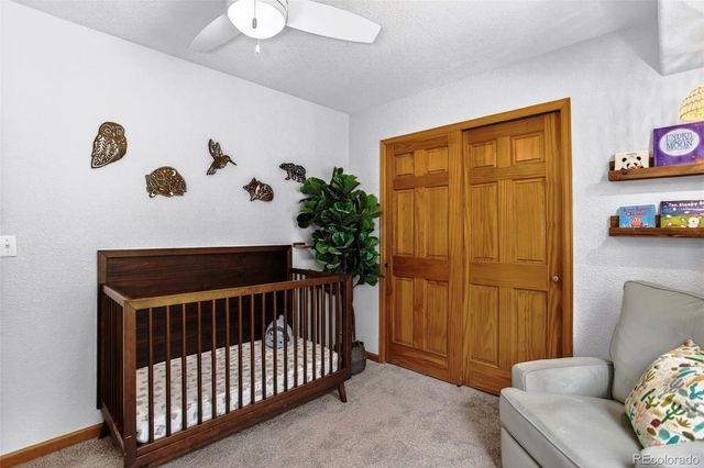 10972 Milliken Avenue, Conifer, CO 80433