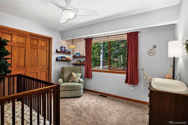 10972 Milliken Avenue, Conifer, CO 80433