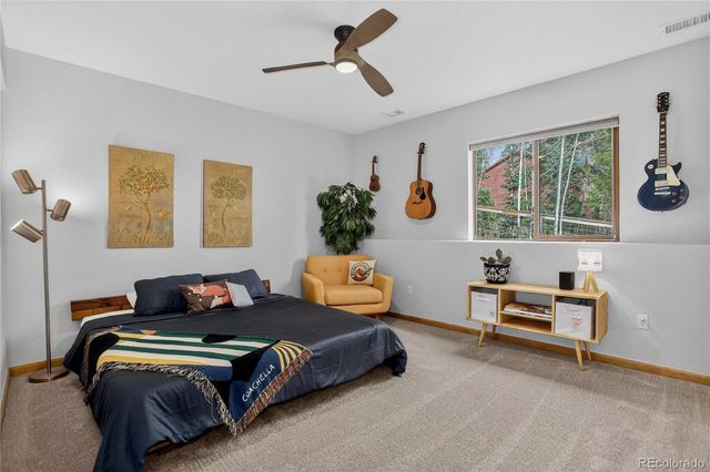 10972 Milliken Avenue, Conifer, CO 80433