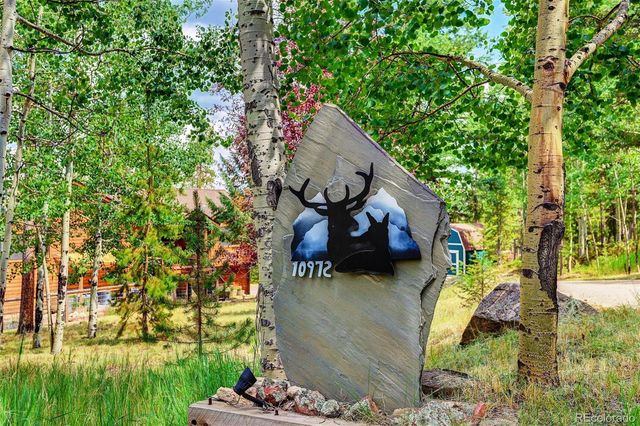 10972 Milliken Avenue, Conifer, CO 80433