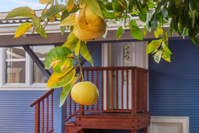 330 330 Melven Ct, San Leandro, CA 94577