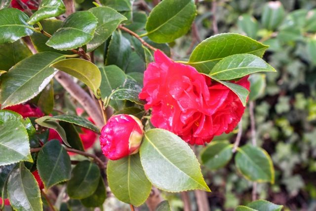 330 330 Melven Ct, San Leandro, CA 94577