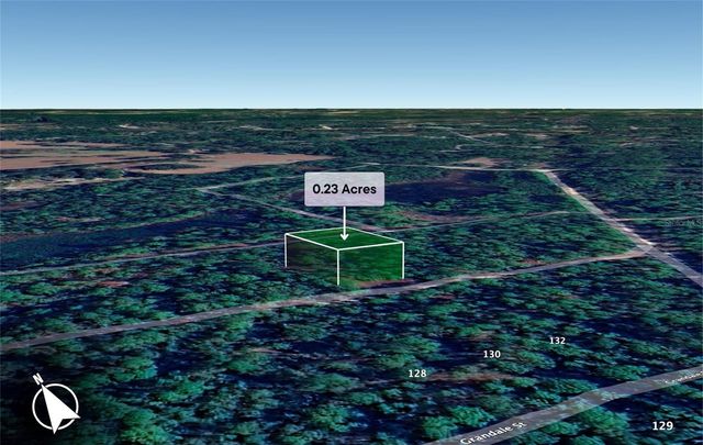 150 CAMDEN STREET, Georgetown, FL 32139