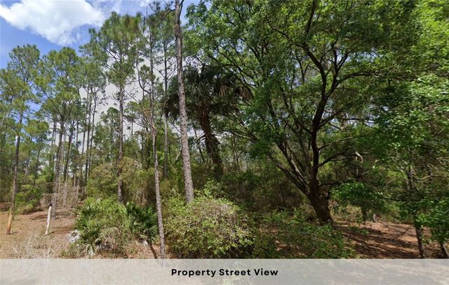 150 CAMDEN STREET, Georgetown, FL 32139