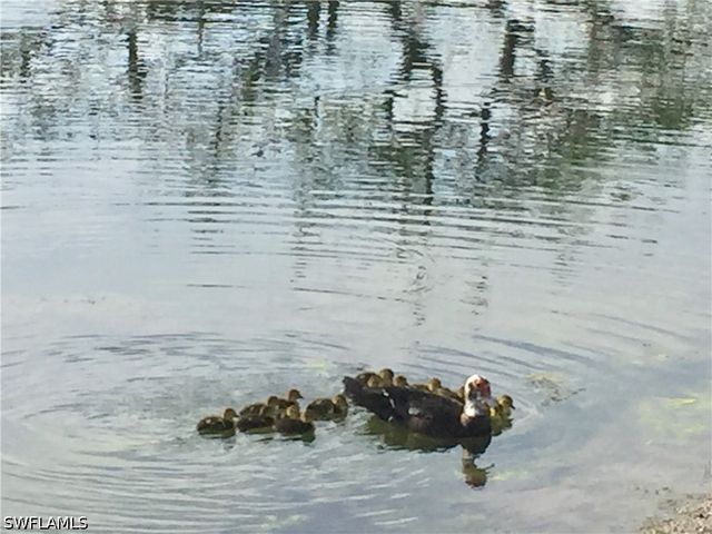 1645 Spoonbill Ln C, Naples, FL 34105