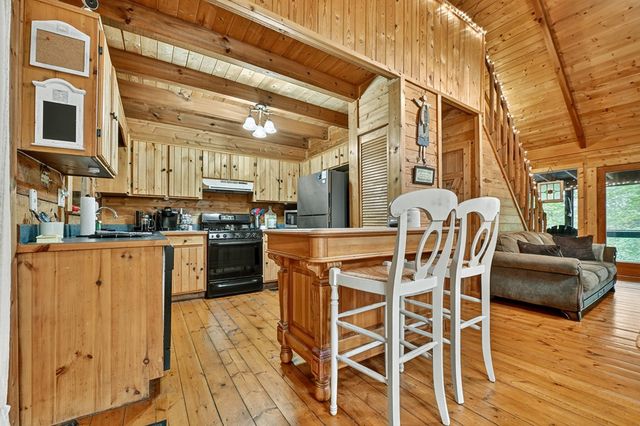 430 Chestnut Ridge, Blue Ridge, GA 30513