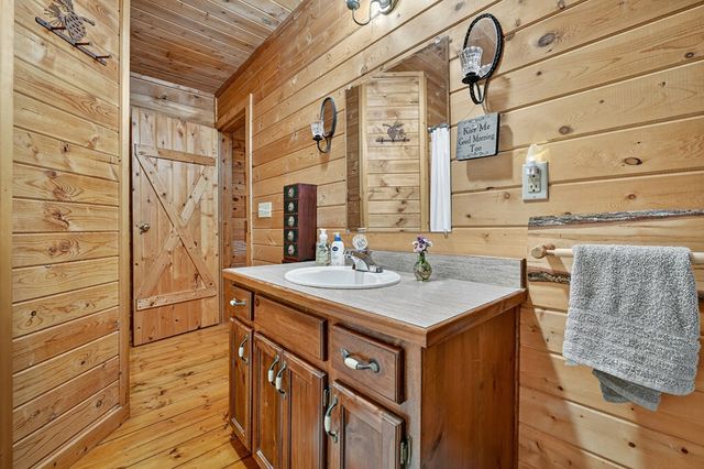 430 Chestnut Ridge, Blue Ridge, GA 30513