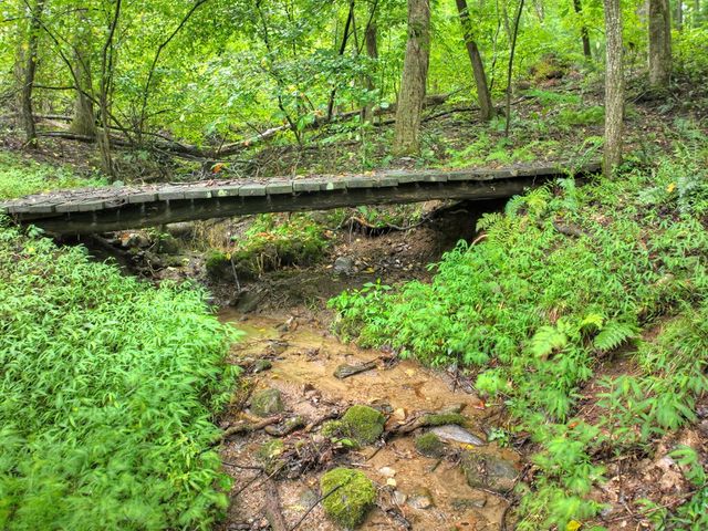 430 Chestnut Ridge, Blue Ridge, GA 30513