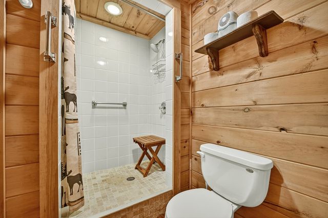 430 Chestnut Ridge, Blue Ridge, GA 30513