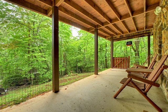 430 Chestnut Ridge, Blue Ridge, GA 30513