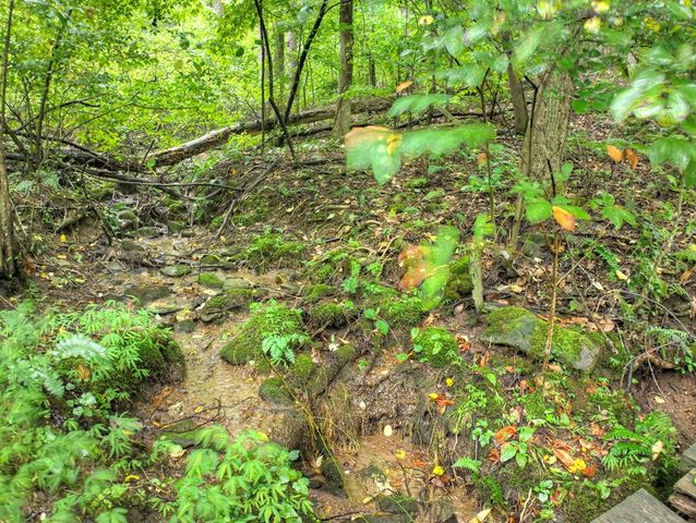 430 Chestnut Ridge, Blue Ridge, GA 30513