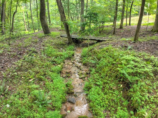 430 Chestnut Ridge, Blue Ridge, GA 30513