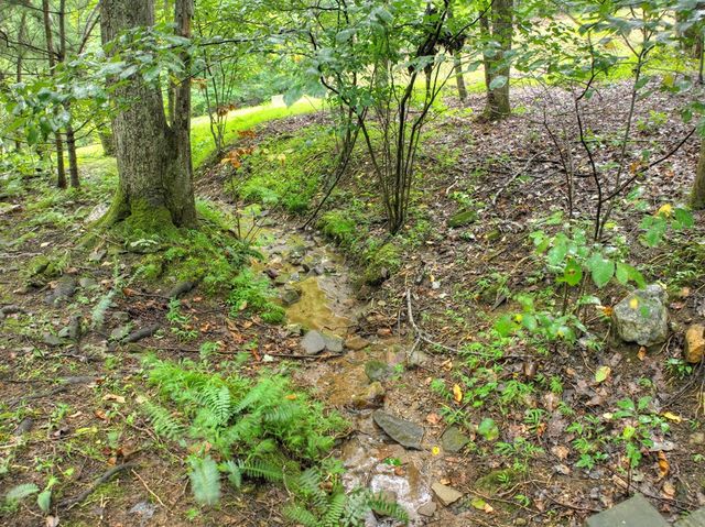 430 Chestnut Ridge, Blue Ridge, GA 30513