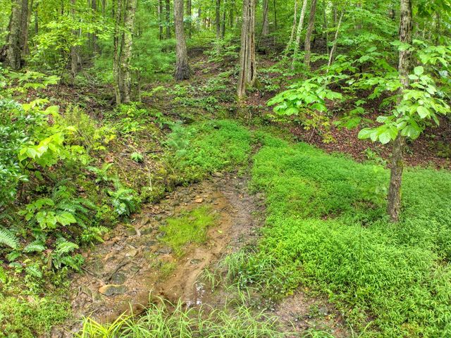 430 Chestnut Ridge, Blue Ridge, GA 30513