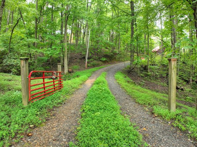 430 Chestnut Ridge, Blue Ridge, GA 30513