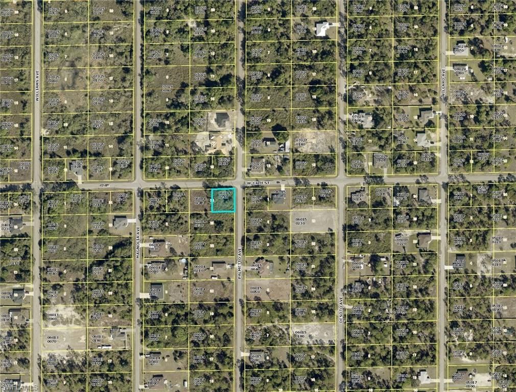 901 W 14th ST, LEHIGH ACRES, FL 33972 — photo 4