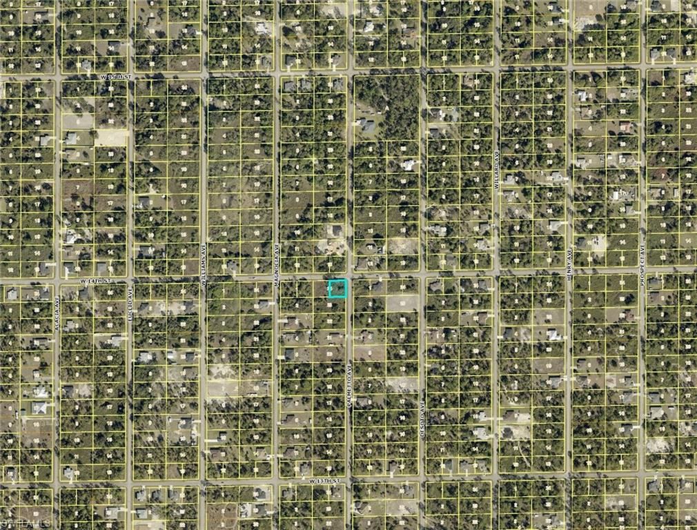 901 W 14th ST, LEHIGH ACRES, FL 33972 — photo 5