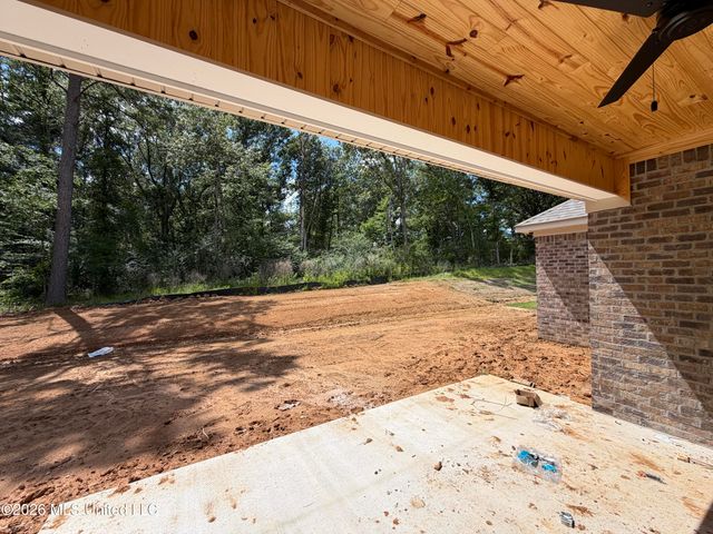 216 Anderson Oaks Drive, Pearl, MS 39208