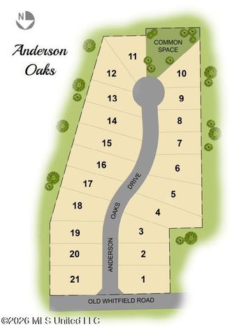 216 Anderson Oaks Drive, Pearl, MS 39208