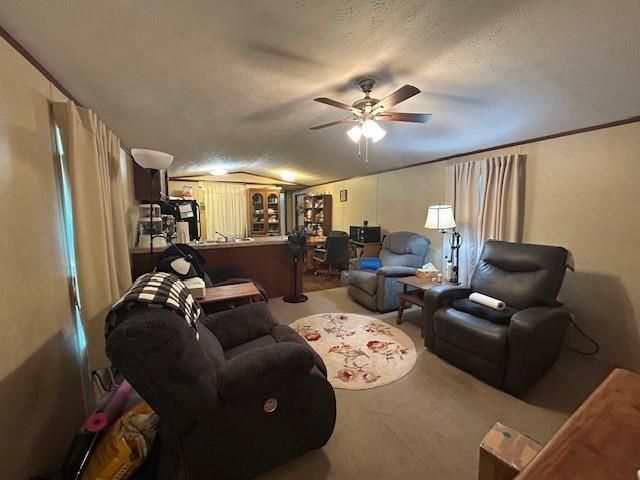 352 Kingwood Drive, Trinity, TX 75862