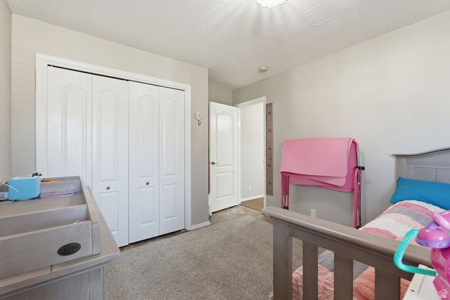 10071 S BINGHAM MINER CT, South Jordan, UT 84095